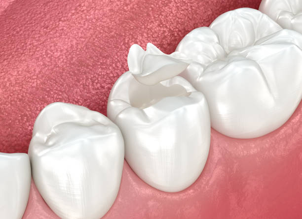 Best General Dentistry  in West Terre Haute, IN